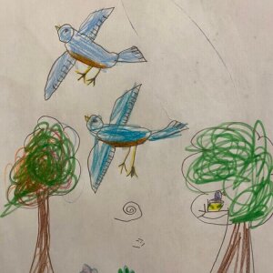 Birds in the sky
