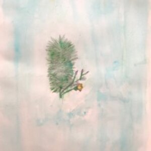 (untitled 59)