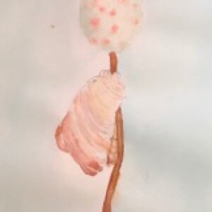 (untitled 53)