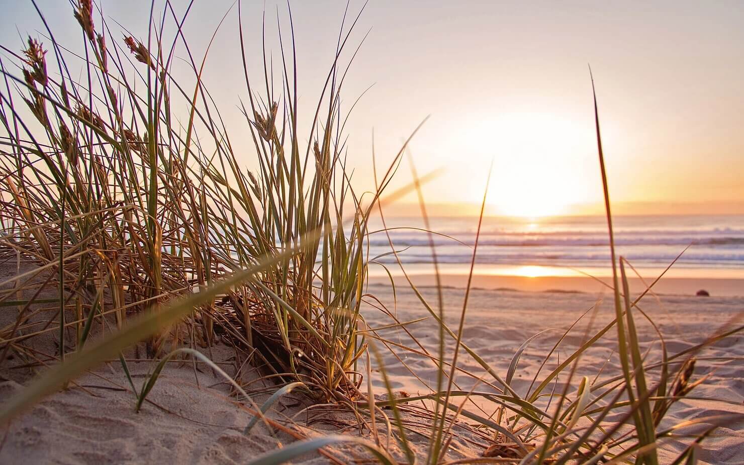 beach and sunset