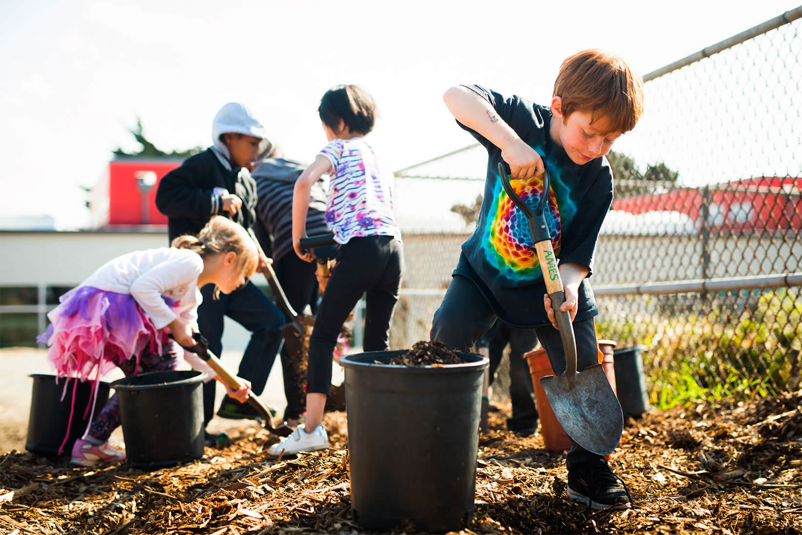 Group of young children digging together with shovels.