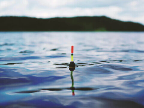 Sharing a Father’s Love for Fishing